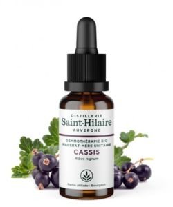 Cassis (Ribes nigrum) bourgeon BIO, 30 ml